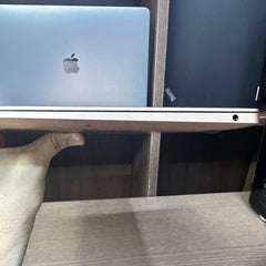 Apple MacBook Air - A1932- 13" Retina Display - Rose Gold